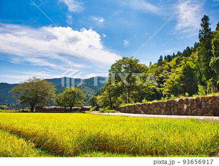西山光照寺跡(一乗谷朝倉氏遺跡) 西山光照寺跡(一乗谷朝倉氏遺跡) 93656917