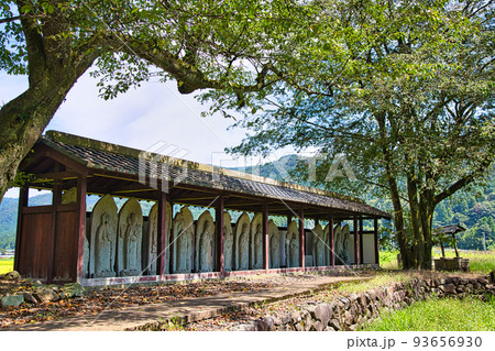 西山光照寺跡（一乗谷朝倉氏遺跡） 93656930