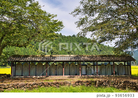 西山光照寺跡（一乗谷朝倉氏遺跡） 93656933