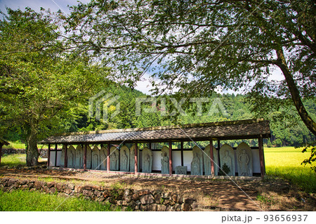 西山光照寺跡（一乗谷朝倉氏遺跡） 93656937