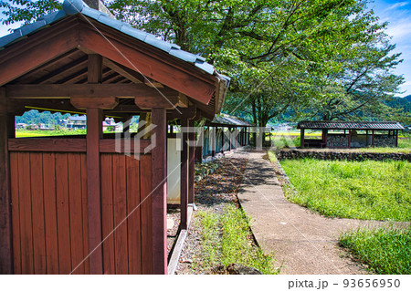西山光照寺跡（一乗谷朝倉氏遺跡） 93656950