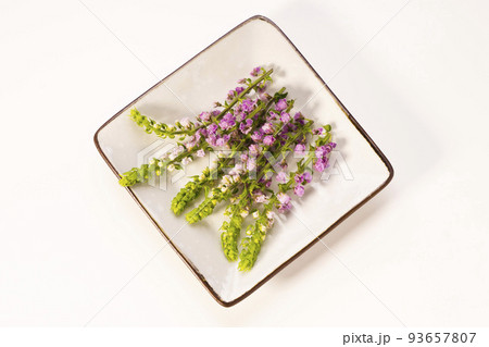 白バックに置いた花穂じその皿のせ 白バックに置いた花穂じその皿のせ 93657807