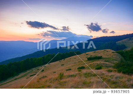 carpathian mountain landscape at dusk. wonderful nature scenery with grassy pasture by the forest on the hill in evening light carpathian mountain landscape at dusk. wonderful nature scenery with grassy pasture by the forest on the hill in evening light 93657905