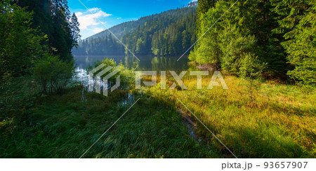 wild lake among the coniferous forest. wonderful nature scenery in carpathian mountains. sunny summer weather on a bright forenoon. popular travel destination wild lake among the coniferous forest. wonderful nature scenery in carpathian mountains. sunny summer weather on a bright forenoon. popular travel destination 93657907