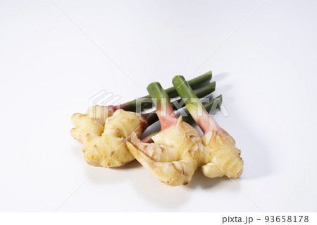 白背景で撮影した葉つきしょうが　 93658178