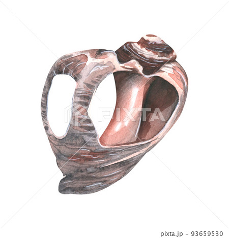 A ruined, broken seashell. Watercolor illustration. An isolated object from a large set of WHALES. For decoration and design, marine and beach compositions, prints, stickers, postcards, posters. A ruined, broken seashell. Watercolor illustration. An isolated object from a large set of WHALES. For decoration and design, marine and beach compositions, prints, stickers, postcards, posters. 93659530
