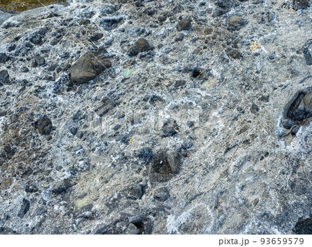 Vibrant colors of aquatic life in rock pools and the tidal zone of rocky coastline beach in hualien, Taiwan. Vibrant colors of aquatic life in rock pools and the tidal zone of rocky coastline beach in hualien, Taiwan. 93659579