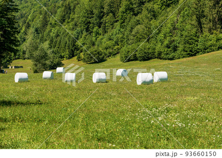 Hay Bales Packed with White Plastic - Triglav National Park Slovenia 93660150