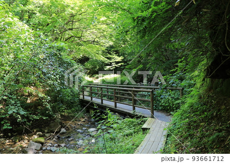 夏の鳴子温泉字鬼首 地獄谷遊歩道 夏の鳴子温泉字鬼首 地獄谷遊歩道 93661712