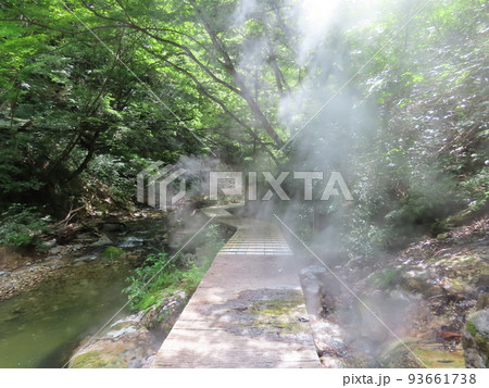 夏の鳴子温泉字鬼首 地獄谷遊歩道 夏の鳴子温泉字鬼首 地獄谷遊歩道 93661738
