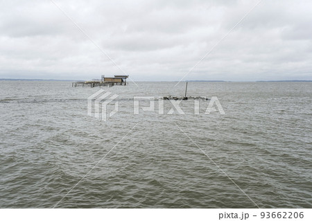 霞ケ浦で盛んな網いけす養殖 霞ケ浦で盛んな網いけす養殖 93662206