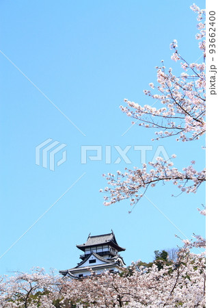 春の犬山市、犬山城と桜の風景 春の犬山市、犬山城と桜の風景 93662400