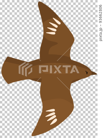 Ouutosuke gull 93662806