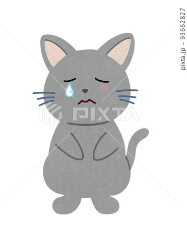 イラスト原画　満足げな猫顔が魅力　 「まったり」 Amazon2部門ベストセラー1位】猫ばかり描くイラストレーター小泉