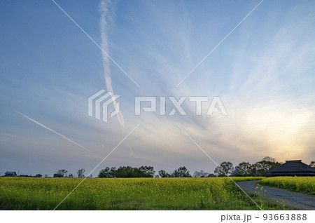 新潟　福島潟の夕景 93663888