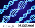 青い光の粒でできたDNA 93663906