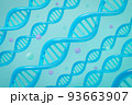 水色背景に水色のDNA 93663907