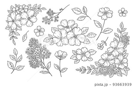 花の装飾イラスト, フレームと飾り, 植物の手描き挿絵, 黒い線画. 93663939