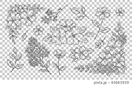 花の装飾イラスト, フレームと飾り, 植物の手描き挿絵, 黒い線画. 93663939