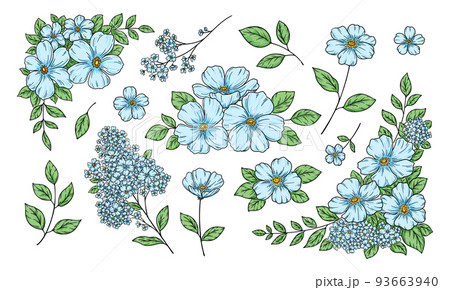 花の装飾イラスト, フレームと飾り, 植物の手描き挿絵, 線画, 青い花. 花の装飾イラスト, フレームと飾り, 植物の手描き挿絵, 線画, 青い花. 93663940