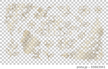 Floral decoration illustrations, frames and ornaments, botanical hand drawn illustrations, gold line art. 93663941