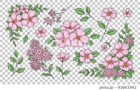 Floral decoration illustration, frame and ornament, botanical hand drawn illustration, line drawing, pink flowers. 93663942