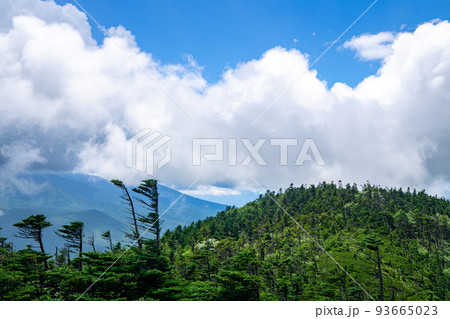 北八ヶ岳 北横岳の北峰からの眺望 北八ヶ岳 北横岳の北峰からの眺望 93665023