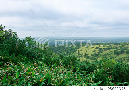natural landscape of the southern Kuril Islands, view of the southern tip of Kunashir Island from the slope of Golovnin volcano natural landscape of the southern Kuril Islands, view of the southern tip of Kunashir Island from the slope of Golovnin volcano 93665393