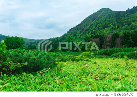 landscape at the bottom of the Golovnin volcano caldera on Kunashir Island landscape at the bottom of the Golovnin volcano caldera on Kunashir Island 93665470