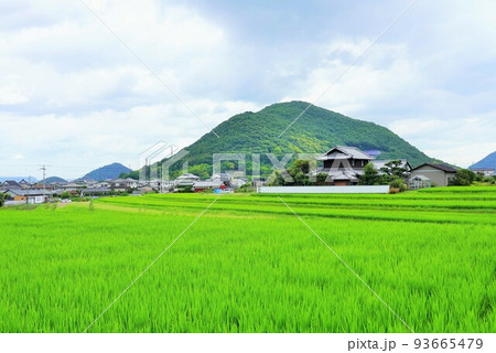讃岐平野の田園風景と山並み（香川県高松市）の写真素材 [93665479