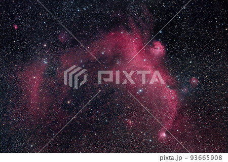 おおいぬ座の散光星雲IC2177　天体写真 93665908