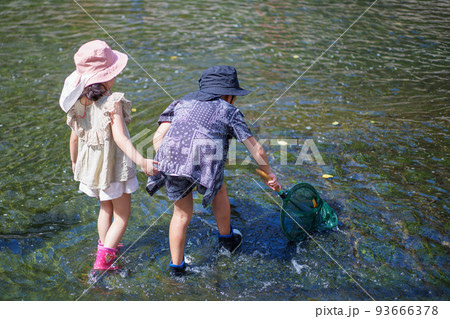 川でたも網を使って魚取りをする少年と少女 川でたも網を使って魚取りをする少年と少女 93666378