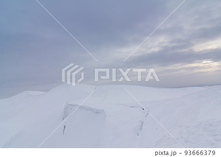 Frozen snow-covered fir forest after snowfall and gray sky in haze at winter day. Carpathian Mountains, Ukraine 93666379