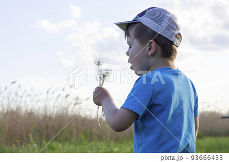 Beautiful cute boy blowing on dandelion. Child in cap and blue t-shirt blowing dandelion Beautiful cute boy blowing on dandelion. Child in cap and blue t-shirt blowing dandelion 93666433