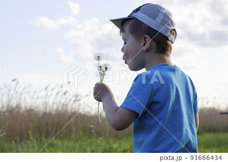 Beautiful cute boy blowing on dandelion. Child in cap and blue t-shirt blowing dandelion Beautiful cute boy blowing on dandelion. Child in cap and blue t-shirt blowing dandelion 93666434