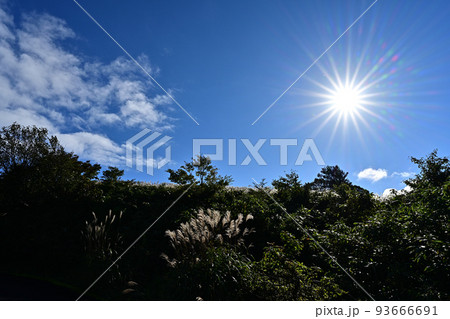 上山高原より 93666691