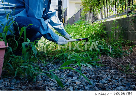 雑草が生えた庭の草刈り 93666794