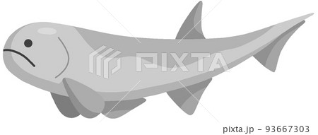 ケイロレピス 93667303