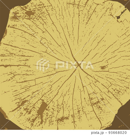 Tree rings saw cut tree trunk background. Vector illustration. 93668020