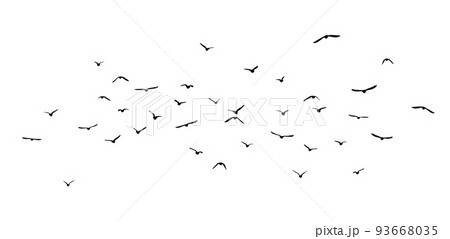 A flock of flying birds. Free birds. Vector illustration A flock of flying birds. Free birds. Vector illustration 93668035