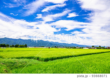 夏空と田園風景 安曇野 夏空と田園風景 安曇野 93668071