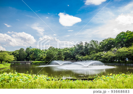 《愛知県》名古屋市北区名城公園の御深井（おふけ）池と名古屋城　 93668683