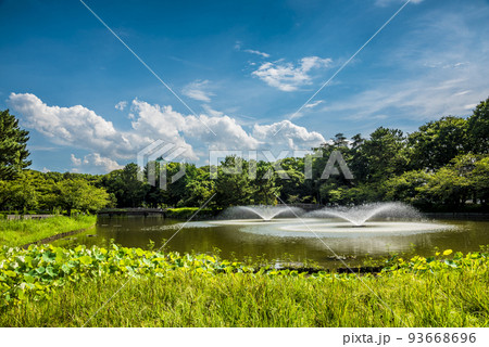 《愛知県》名古屋市北区名城公園の御深井(おふけ)池と名古屋城 《愛知県》名古屋市北区名城公園の御深井(おふけ)池と名古屋城 93668696