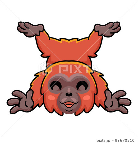 Cute little orangutan cartoon posing 93670510