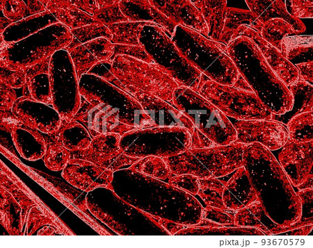 close up of 3d microscopic blue bacteria, 3D rendering Bacteria closeup, Blue virus or bacteria cells high resolution science illustration close up of 3d microscopic blue bacteria, 3D rendering Bacteria closeup, Blue virus or bacteria cells high resolution science illustration 93670579