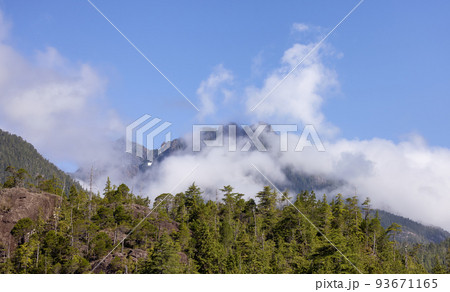 Canadian Nature Landscape with trees and mountains. Sunny Summer Canadian Nature Landscape with trees and mountains. Sunny Summer 93671165