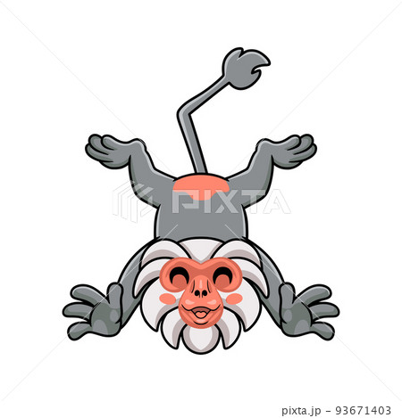 Cute little hamadryad monkey cartoon posing Cute little hamadryad monkey cartoon posing 93671403