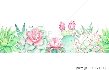 Watercolor seamless border with various succulent. Isolated on white background. Watercolor seamless border with various succulent. Isolated on white background. 93671645