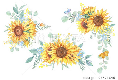 Bouquets of sunflowers and wild flowers. Watercolor illustration, isolated on white background Bouquets of sunflowers and wild flowers. Watercolor illustration, isolated on white background 93671646