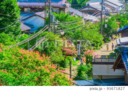 滋賀県　米原市　賀茂神社から見える街なみ 93671827